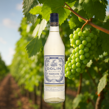Load image into Gallery viewer, Dolin Vermouth Blanc