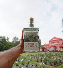 Load image into Gallery viewer, Maya Pistola Joven