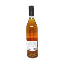 Load image into Gallery viewer, Giffard Liqueur Caribbean Pineapple