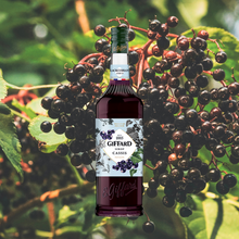 Load image into Gallery viewer, Giffard Syrup Blackcurrant
