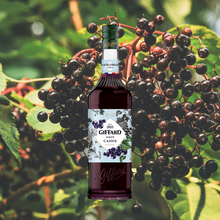 Load image into Gallery viewer, Giffard Syrup Blackcurrant