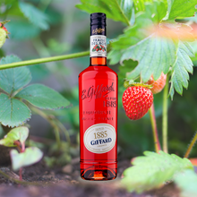 Load image into Gallery viewer, Giffard Liqueur Wild Strawberry