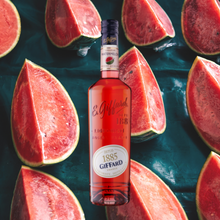 Load image into Gallery viewer, Giffard Liqueur Watermelon
