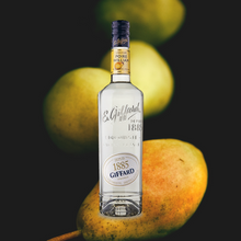 Load image into Gallery viewer, Giffard Liqueur William Pear