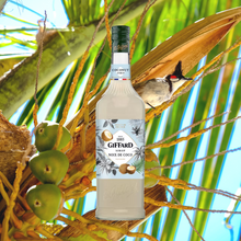 Load image into Gallery viewer, Giffard Syrup Coconut