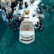 Load image into Gallery viewer, Caorunn Gin