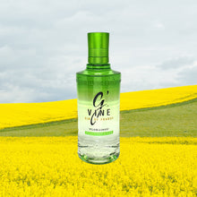 Load image into Gallery viewer, G'Vine Floraison Gin