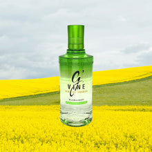 Load image into Gallery viewer, G'Vine Floraison Gin
