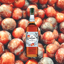 Load image into Gallery viewer, Giffard Syrup Cherry Plum
