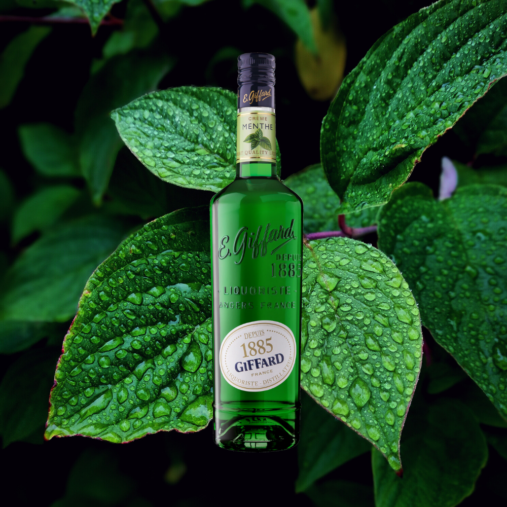 Giffard Liqueur Creme Green Mint – Destination Beverage