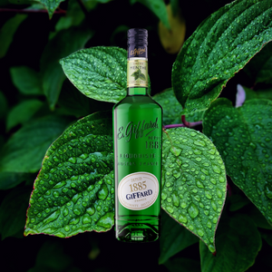 Giffard Liqueur Creme Green Mint