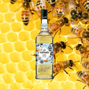 Giffard Syrup Honey