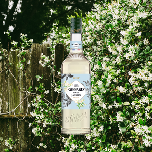 Giffard Syrup Jasmine