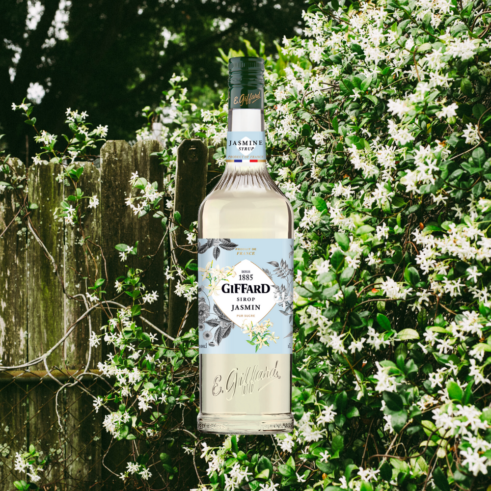Giffard Syrup Jasmine