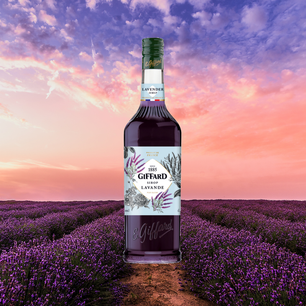 Giffard Syrup Lavender