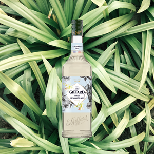 Giffard Syrup Lemongrass