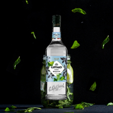 Load image into Gallery viewer, Giffard Syrup Mojito
