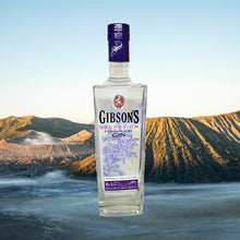 Load image into Gallery viewer, Gibson&#39;s Exception Gin
