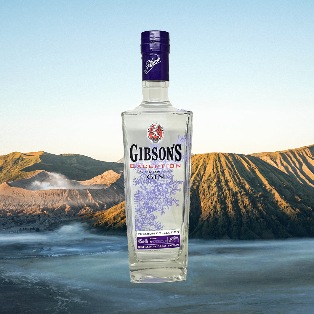 Gibson's Exception Gin