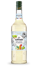 Load image into Gallery viewer, Giffard Syrup Falernum
